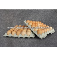 Recycled Paper Pulp Egg Tray