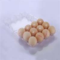 Wholesale transparent 3x4 PVC plastic eggs tray cartons factory